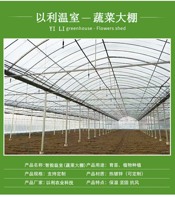 以利農(nóng)業(yè) 專業(yè)化設(shè)計(jì)與一站式服務(wù)，打造高效智能的花卉養(yǎng)殖大棚與連棟玻璃溫室