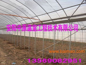 中原地區(qū)養(yǎng)殖大棚骨架與鋼架大棚骨架 廠家、價(jià)格與農(nóng)業(yè)溫室應(yīng)用
